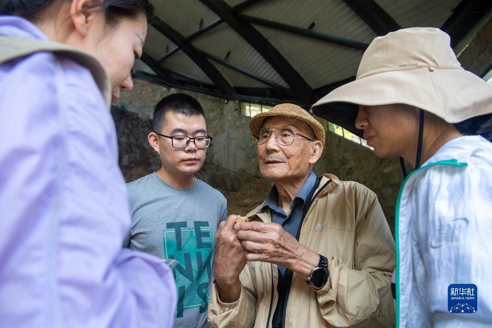手机东方明珠游戏机下载